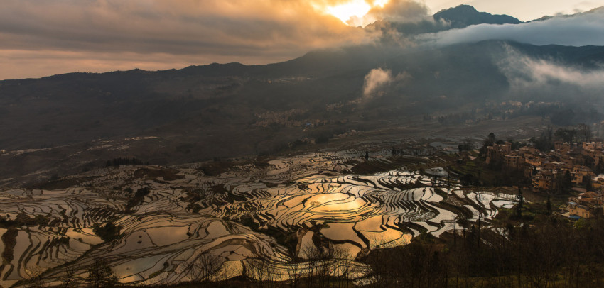 Terraces in the morning