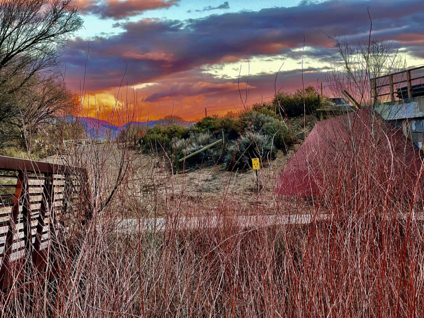 Fall in Albuquerque, colors