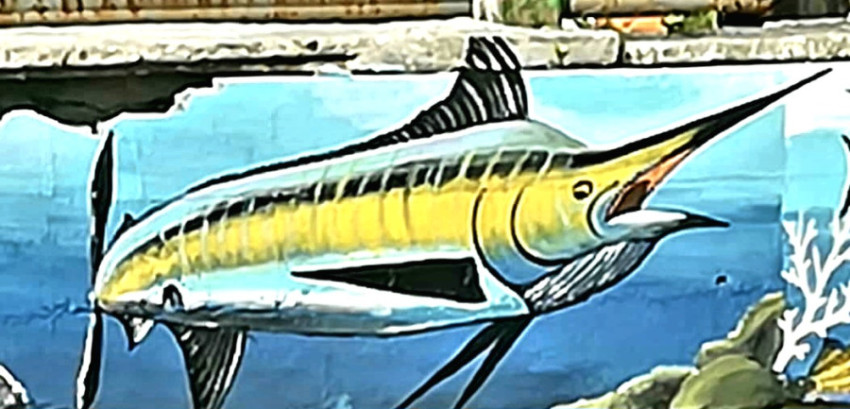 Fish painting