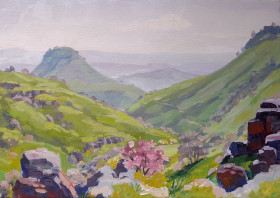 Hills in spring