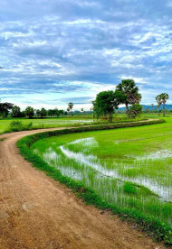 Village and sky