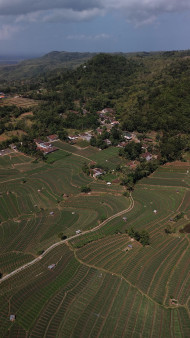 Aerial View of Terraced Farmland and Rural Village