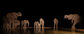 HIPSTERPHOTOS Waterhole Elephants