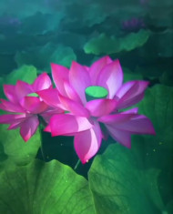 Lotus