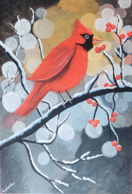 Northern Cardinal