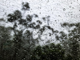 Raindrops on Glass with Forest View