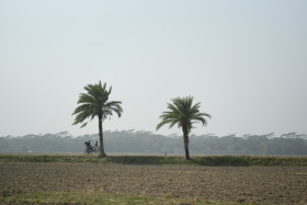 Village scenery