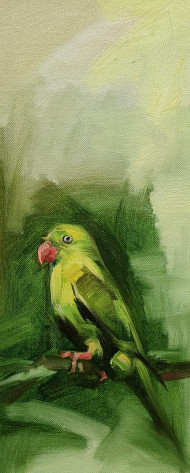 green parrot